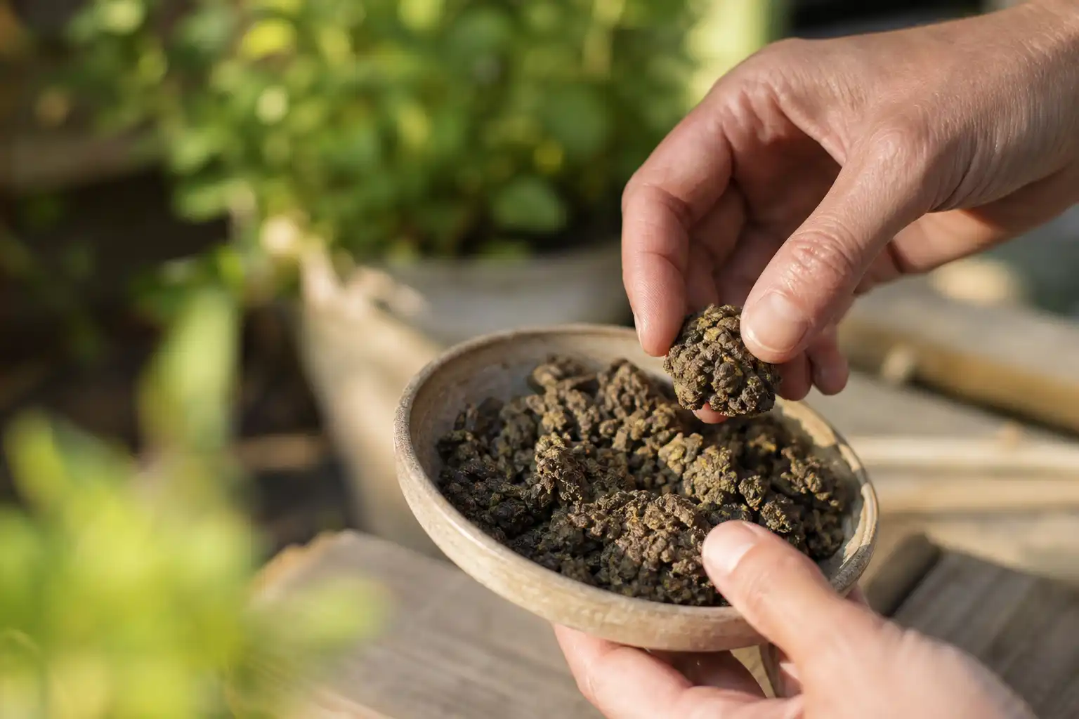 Des mains examinent un objet, autour d'avis sites produits, dans un jardin.
